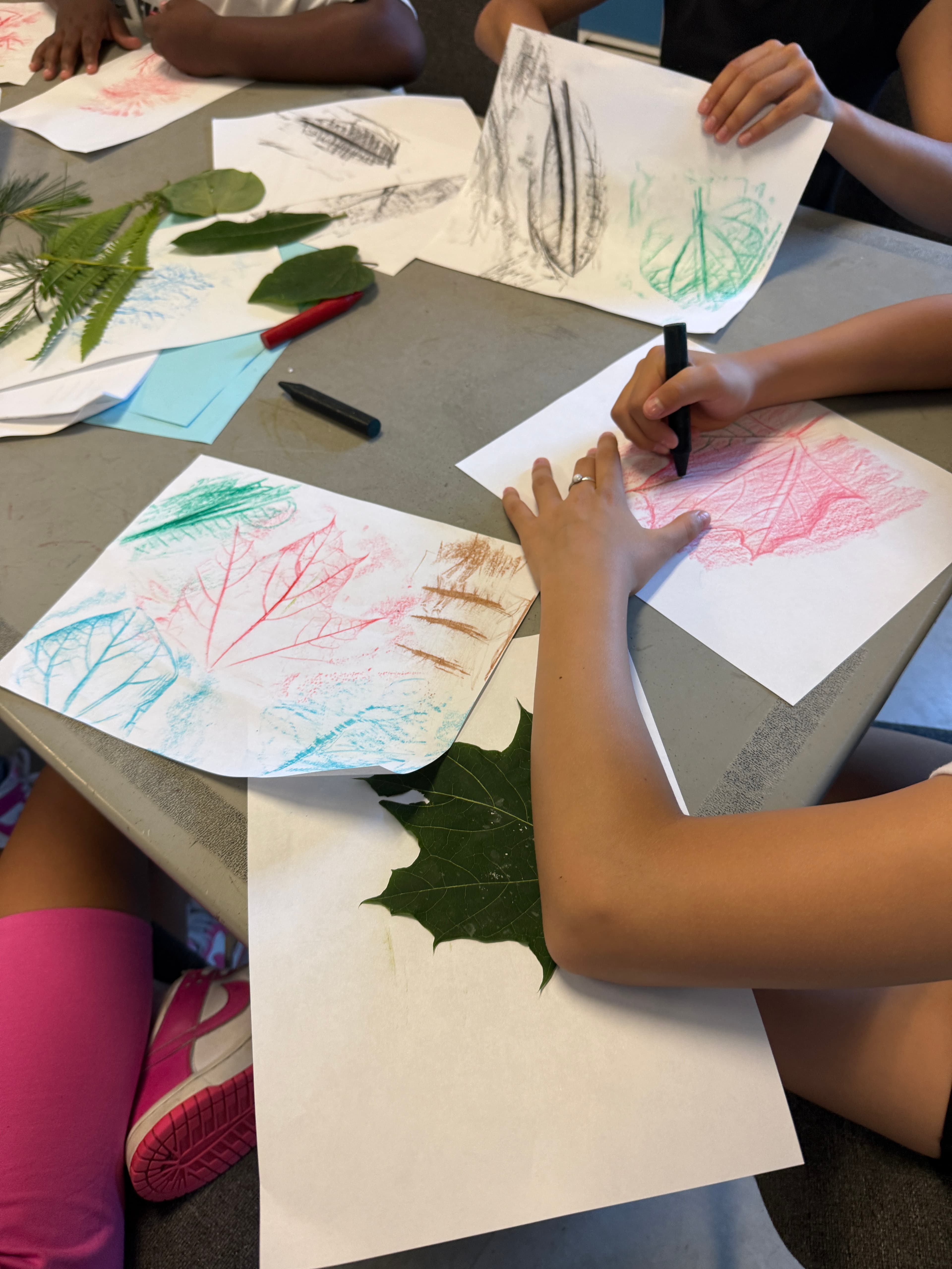 A student making a leaf rubbing